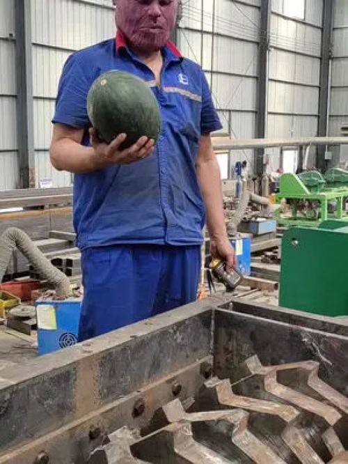 商用西瓜粉碎机 食品加工机械设备的高效应用